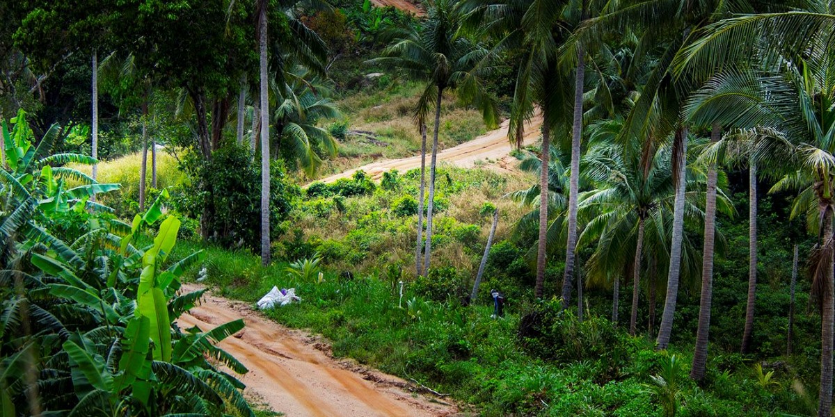 Discover Koh Phangan’s Hidden Beach Retreat with Adventure Travel!