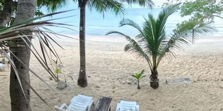 Tropical Family