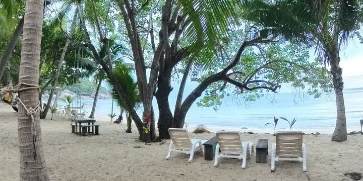 Tropical Family