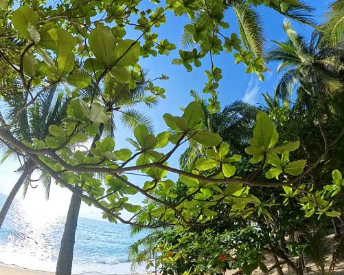 The Hideaway Pariya Haad Yuan Ko Pha-ngan